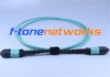 MTP, OM4, 24Core Fiber Patch Cord